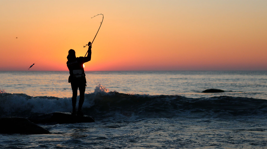 A surf fisher on the Atlantic Coast in Cape Horn standing in the surf with the crashing waves and the sunset in the backdrop