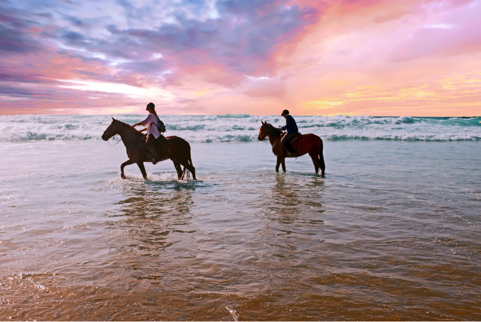 Two people horseback riding on the California Coast at sunset during the fall