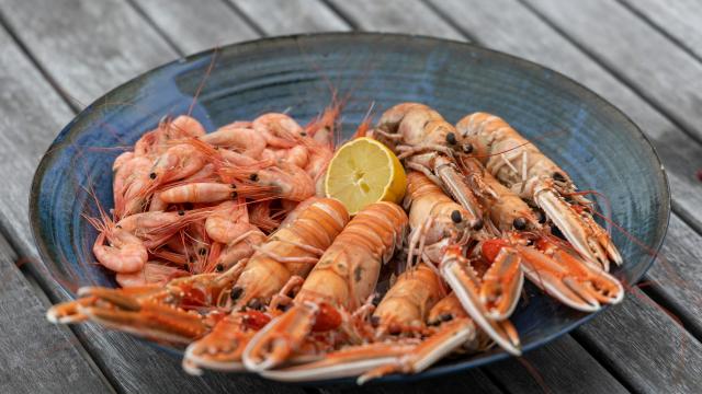 Freshly caught saltwater crayfish and prawn in a handmade blue bowl.