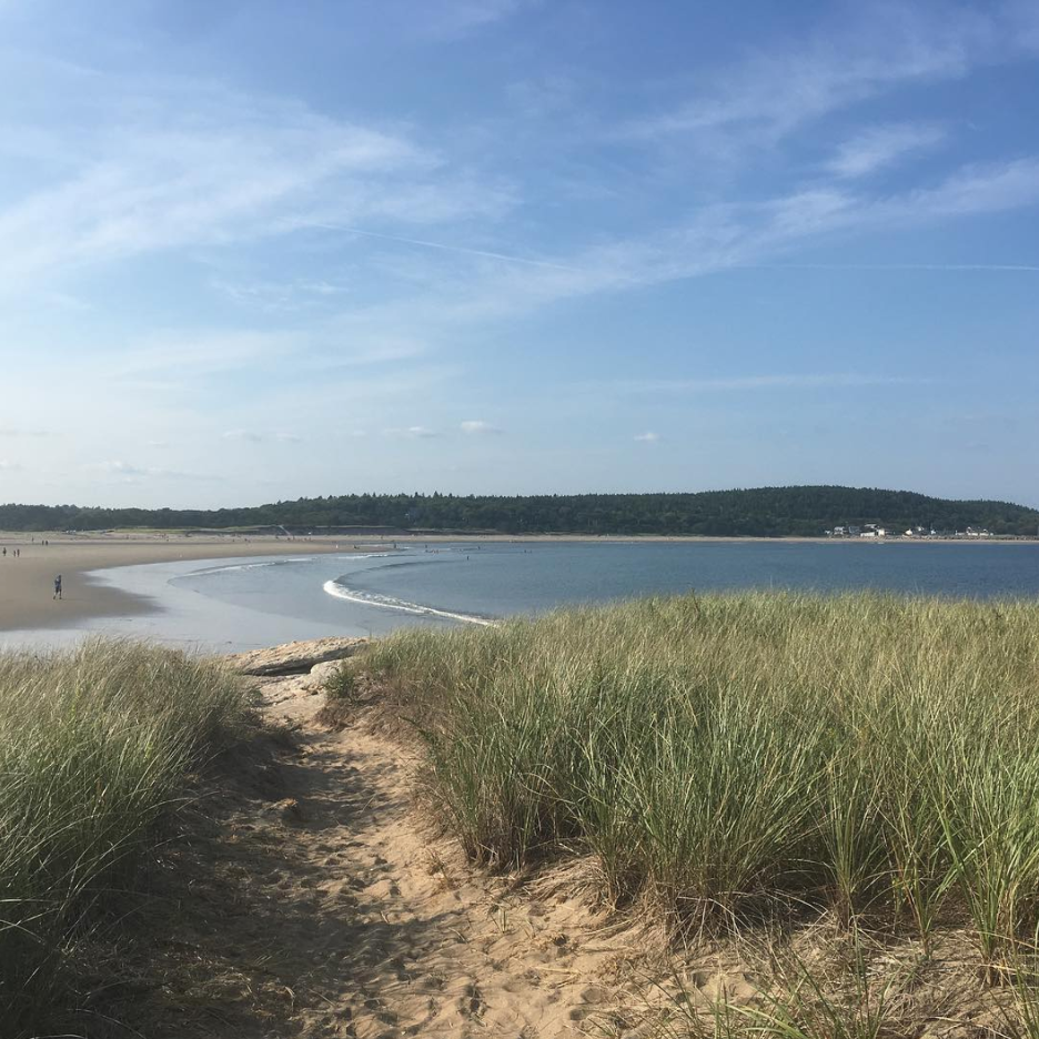 Popham Beach, Maine shorline with sea grasses in the foreground